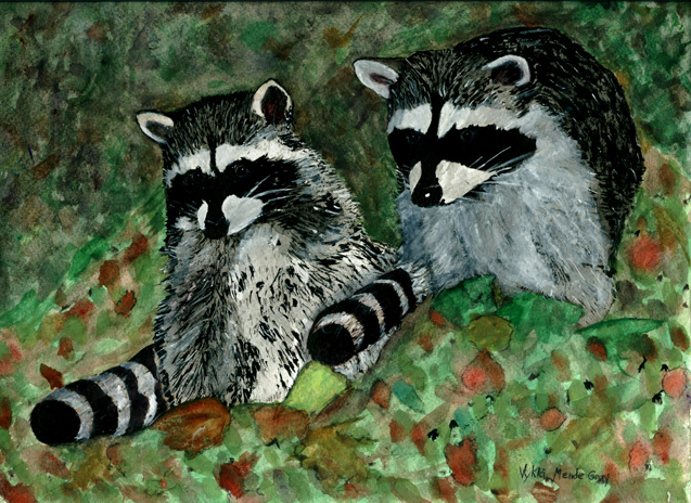 Raccoons in Grape Arbor